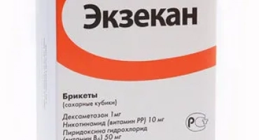Execan: от какво и как да дам котка